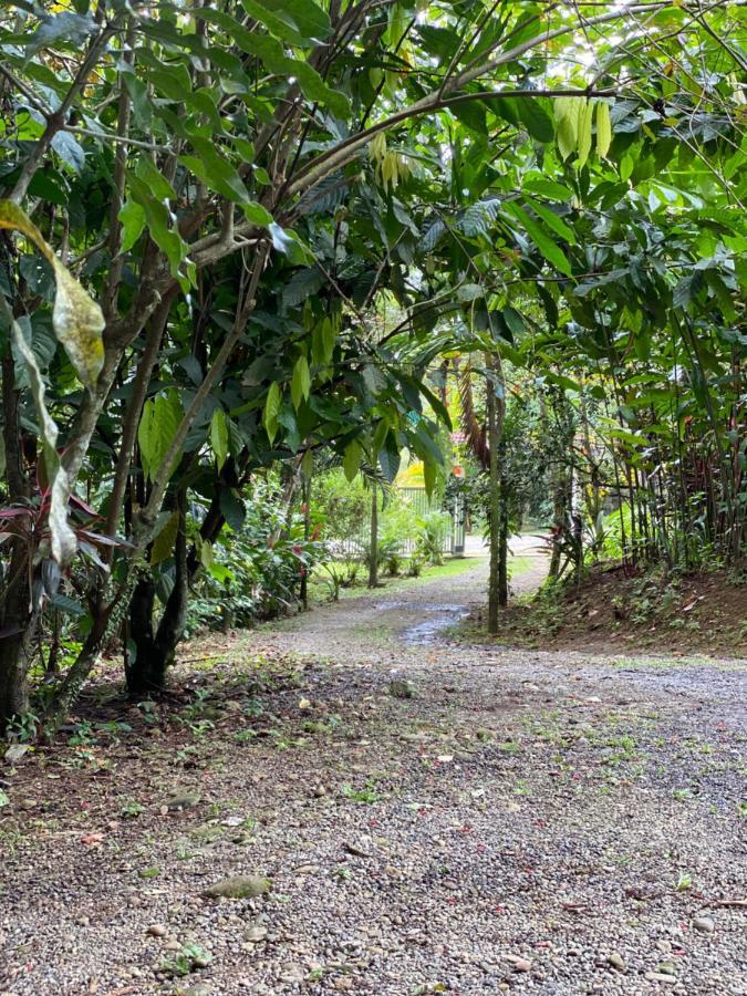 Campo Verde House, La Fortuna De San Carlos 外观 照片